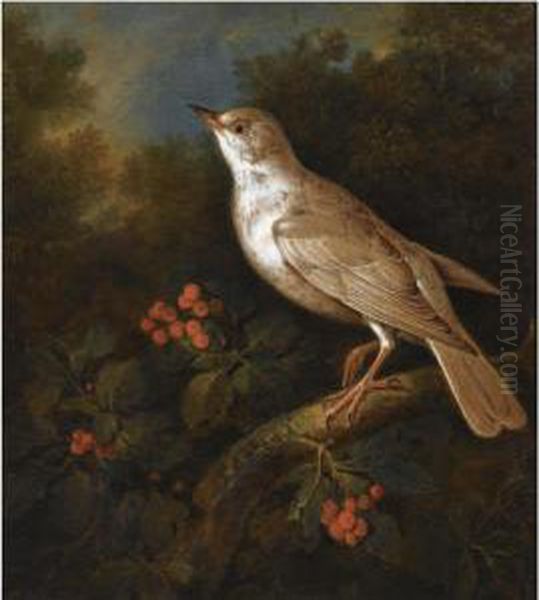 A Songbird On A Branch In A Wooded Landscape, Near A Currantbush Oil Painting by Ferdinand Phillip de Hamilton