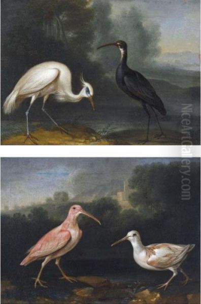 Curlew And A Greenshank In A 
Landscape (#) An Egret And A Black Stork In A 
Landscape Oil Painting by Ferdinand Phillip de Hamilton