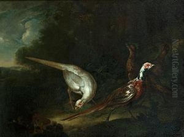 Pheasants In A Wooded Glade Oil Painting by Ferdinand Phillip de Hamilton