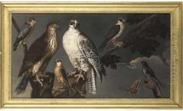 A Pair Of Gyrfalcons Perching On
 A Branch With A Merlin And Other Falcons And Two Butterflies Oil Painting by Ferdinand Phillip de Hamilton