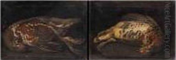 Studies Of Grouse Oil Painting by Ferdinand Phillip de Hamilton