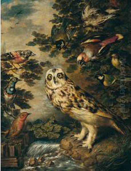 An Owl Mocked By Other Birds Oil Painting by Ferdinand Phillip de Hamilton