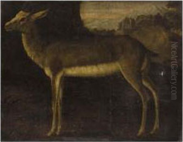 A Hind Oil Painting by Ferdinand Phillip de Hamilton