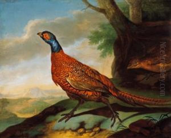 Golden Pheasant (a Pair) Oil Painting by Ferdinand Phillip de Hamilton