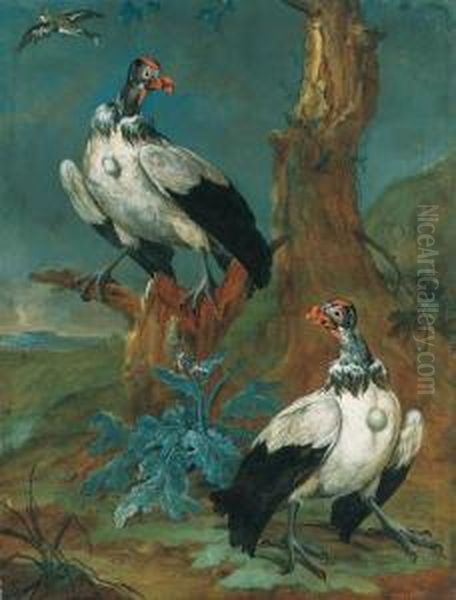 Two Vultures By A Tree In An Extensive Landscape, And Another Birdin Flight Oil Painting by Ferdinand Phillip de Hamilton