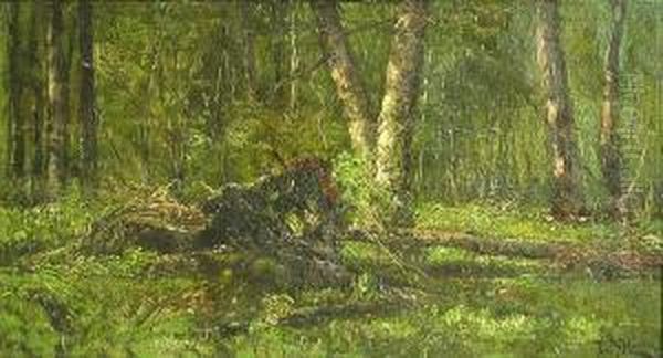 Fallen Tree Oil Painting by Franklin De Haven