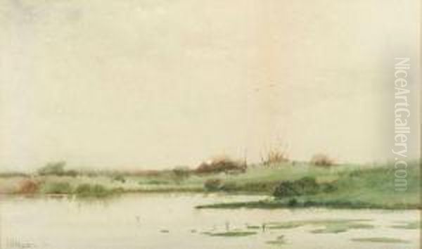 Marsh View Oil Painting by Franklin De Haven