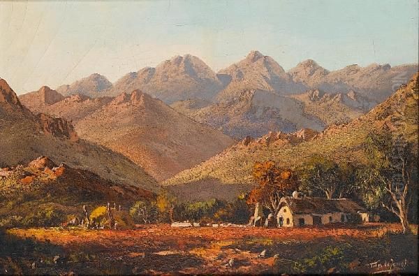 Bokkeveld, Northern Cape Oil Painting by Tinus De Jong