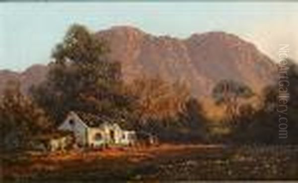 Cape Farmstead At Sunset Oil Painting by Tinus De Jong