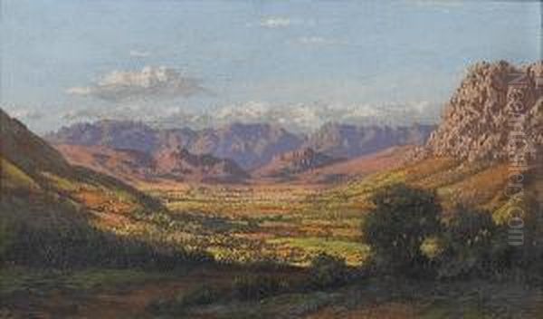 Cape Mountain Range Oil Painting by Tinus De Jong