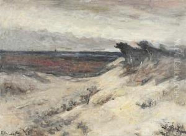 Moorland With Dunes Oil Painting by Alois De Laet