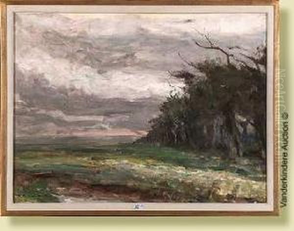 Paysage Oil Painting by Alois De Laet