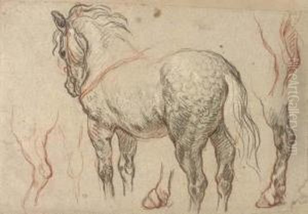 A Dappled Grey Horse With Subsidiary Studies Of Its Legs Oil Painting by Charles de Lafosse