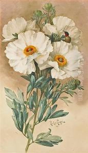 Matilija Poppies Oil Painting by Paul De Longpre