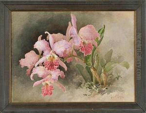 Pink Irises Oil Painting by Paul De Longpre