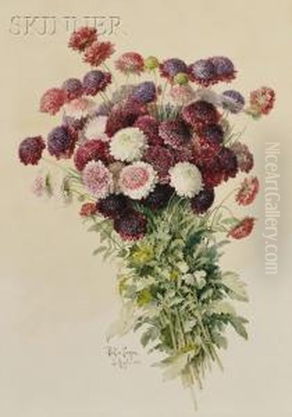 Bouquet Of Chrysanthemums Oil Painting by Paul De Longpre