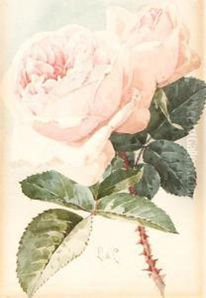 Pink Roses Oil Painting by Paul De Longpre