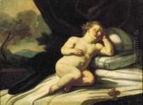 Bambino Dormiente Oil Painting by Francesco Solimena