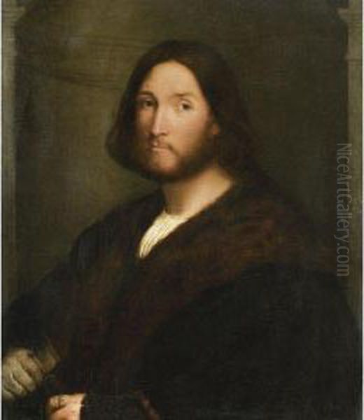 Portrait Of A Gentleman Oil Painting by Palma Vecchio (Jacopo Negretti)