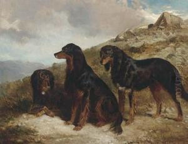 Reuben, Roland, And Rector, Black And Tan Setters In A Highlandlandscape Oil Painting by Alfred F. De Prades