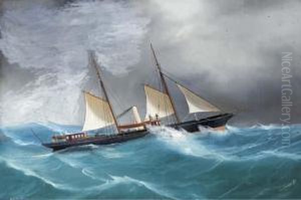 The Royal London Yacht Club's Steam Yacht Queen Marfisa Oil Painting by Atributed To A. De Simone