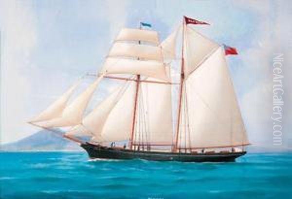 The British Schooner Pluvier Under Full Sail Off Naples Oil Painting by Atributed To A. De Simone