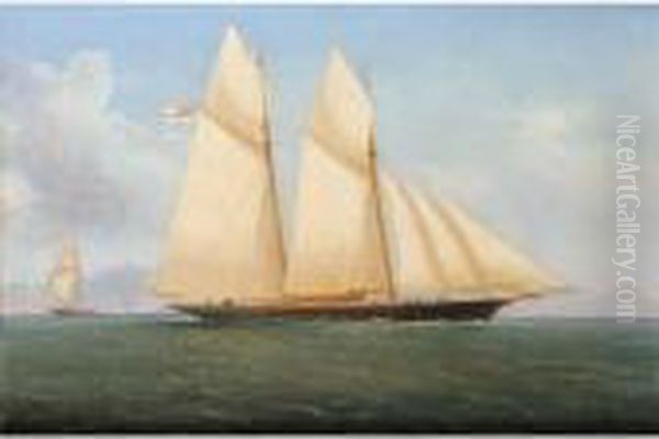 A Schooner Of The Royal Yacht Squadron Oil Painting by de Simone Tommaso