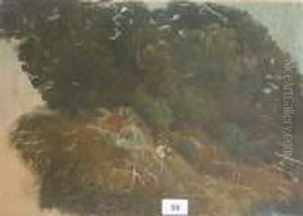 Paysage De Cascade Oil Painting by Pierre-Henri de Valenciennes