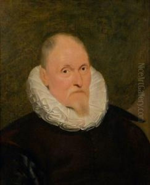 Portrait D'homme A La Collerette Oil Painting by Cornelis De Vos