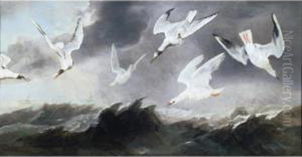 A Flock Of Terns And Gulls Above Stormy Seas Oil Painting by Paul de Vos