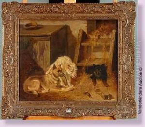 Chiens Et Le Piege A Souris Oil Painting by Vincent de Vos