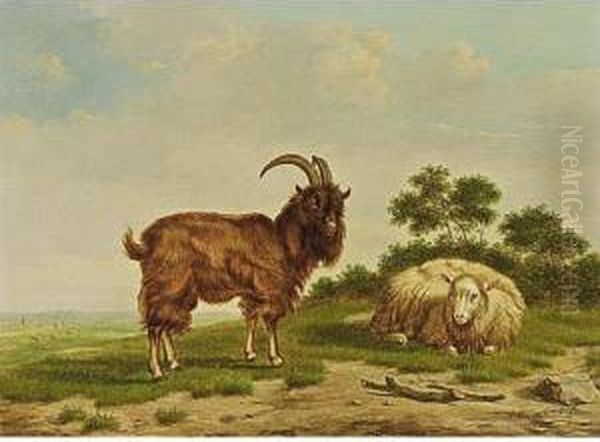 Sheep And Goat In A Landscape Oil Painting by Arthur De Waerhert