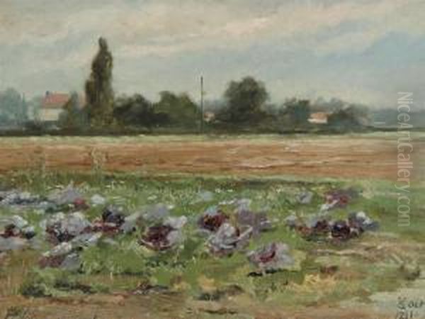 Cabbage Field Oil Painting by Prosper De Wit