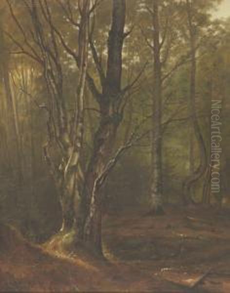 Woodland Landscape Oil Painting by Robert Melvin Decker