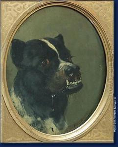 Portrait D'un Chien Oil Painting by Carl Friedrich Deiker