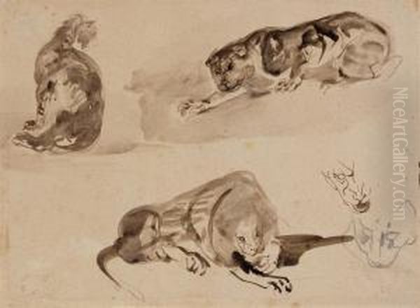 Studies Of A Cat And Two Lions Oil Painting by Eugene Delacroix