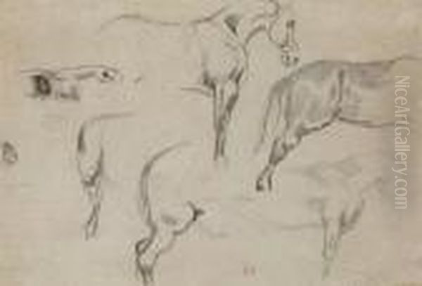 Studies Of A Horse Oil Painting by Eugene Delacroix