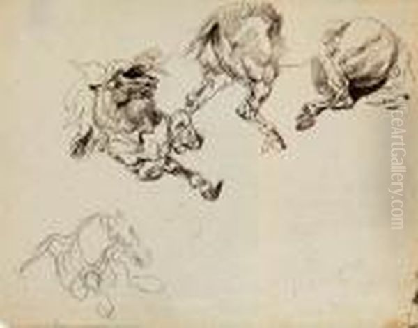 Studies Of The Front And Hind Quarters Of A Rearing Horse Oil Painting by Eugene Delacroix