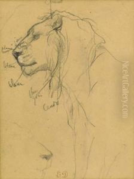 Two Studies Of A Lion's Head Oil Painting by Eugene Delacroix