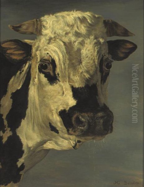 Head Of A Bull, After Paulus Potter Oil Painting by Henri Delattre