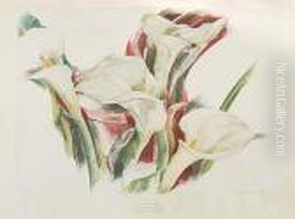 Calla Lilies Oil Painting by Charles Demuth