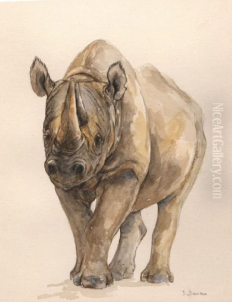 Rhinoceros Vu De Face Oil Painting by Dominique Vivant Denon