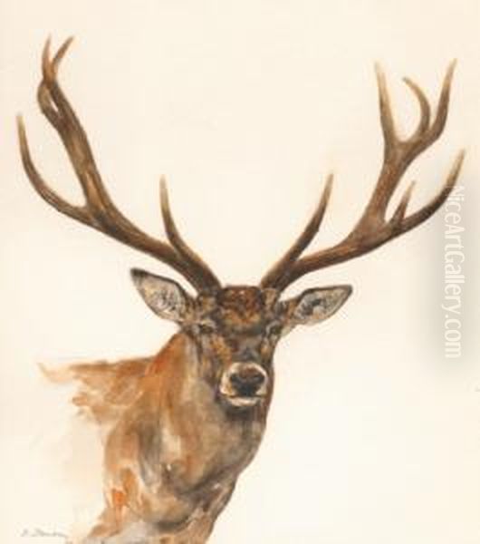 Tete De Cerf Oil Painting by Dominique Vivant Denon