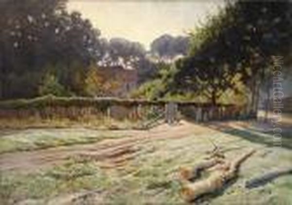 Effet De Soleil Le Matin A Lacaneau (gironde) Oil Painting by Xavier Desparmet-Fitzgerald