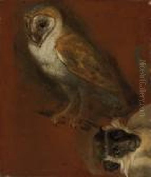 Study Of An Owl Oil Painting by Alexandre-Francois Desportes