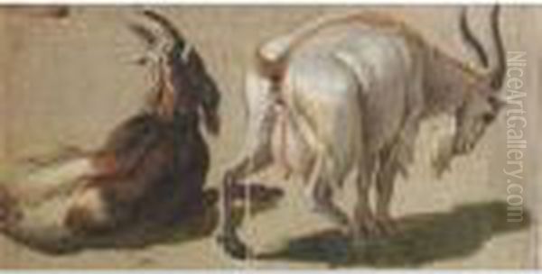 A Study Of Two Goats Oil Painting by Alexandre-Francois Desportes