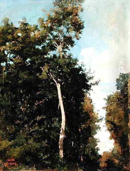 The Wood on the Cote de Grace in Honfleur Oil Painting by Jean-Baptiste-Camille Corot