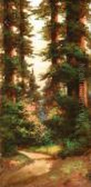 Path Through The Redwoods, Mt. Tamalpais Oil Painting by Richard Detreville