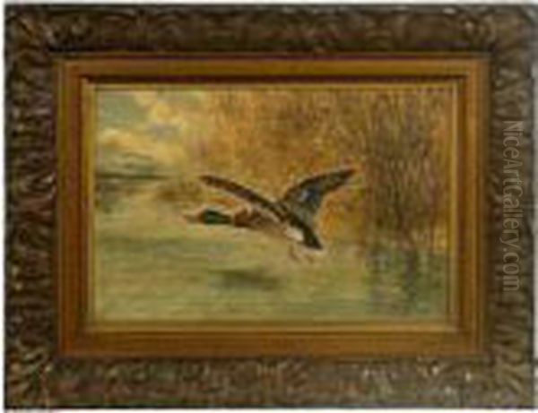 Mallard. Oil Painting by Richard Detreville