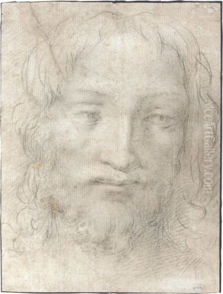 The Head Of Christ Oil Painting by Agnolo Bronzino